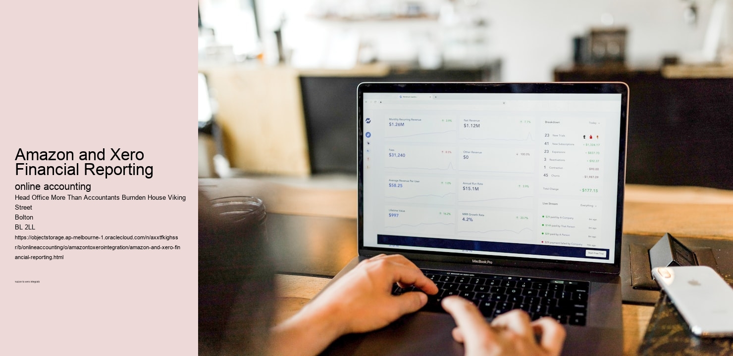 Amazon and Xero Financial Reporting