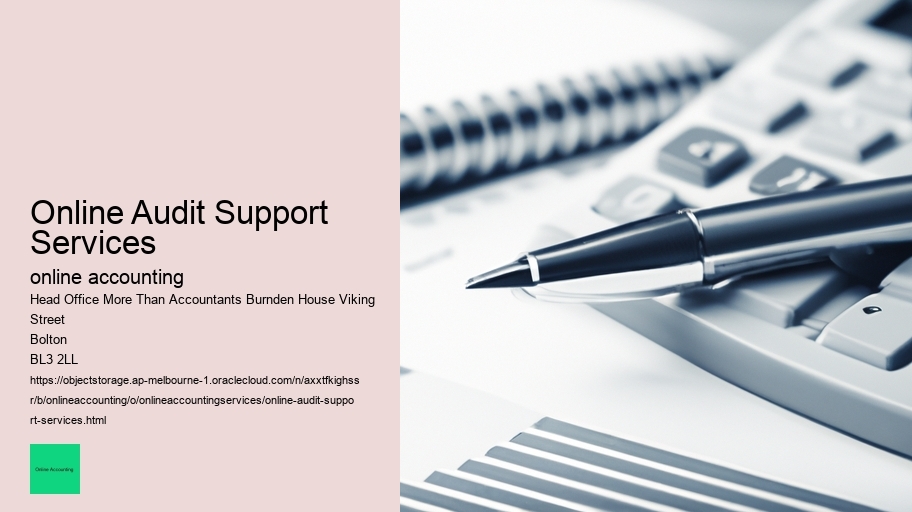 Online Audit Support Services