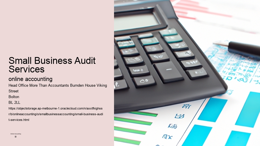 Small Business Audit Services