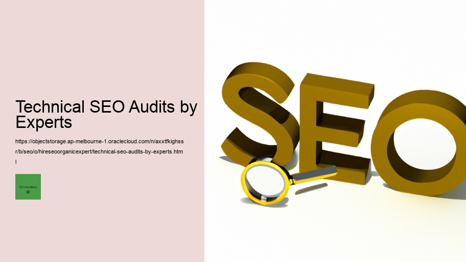 Technical SEO Audits by Experts